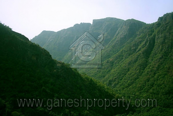Topographical View